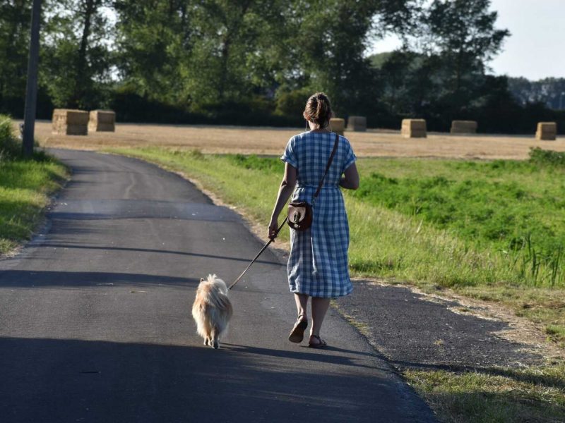 walking-5544326_1920